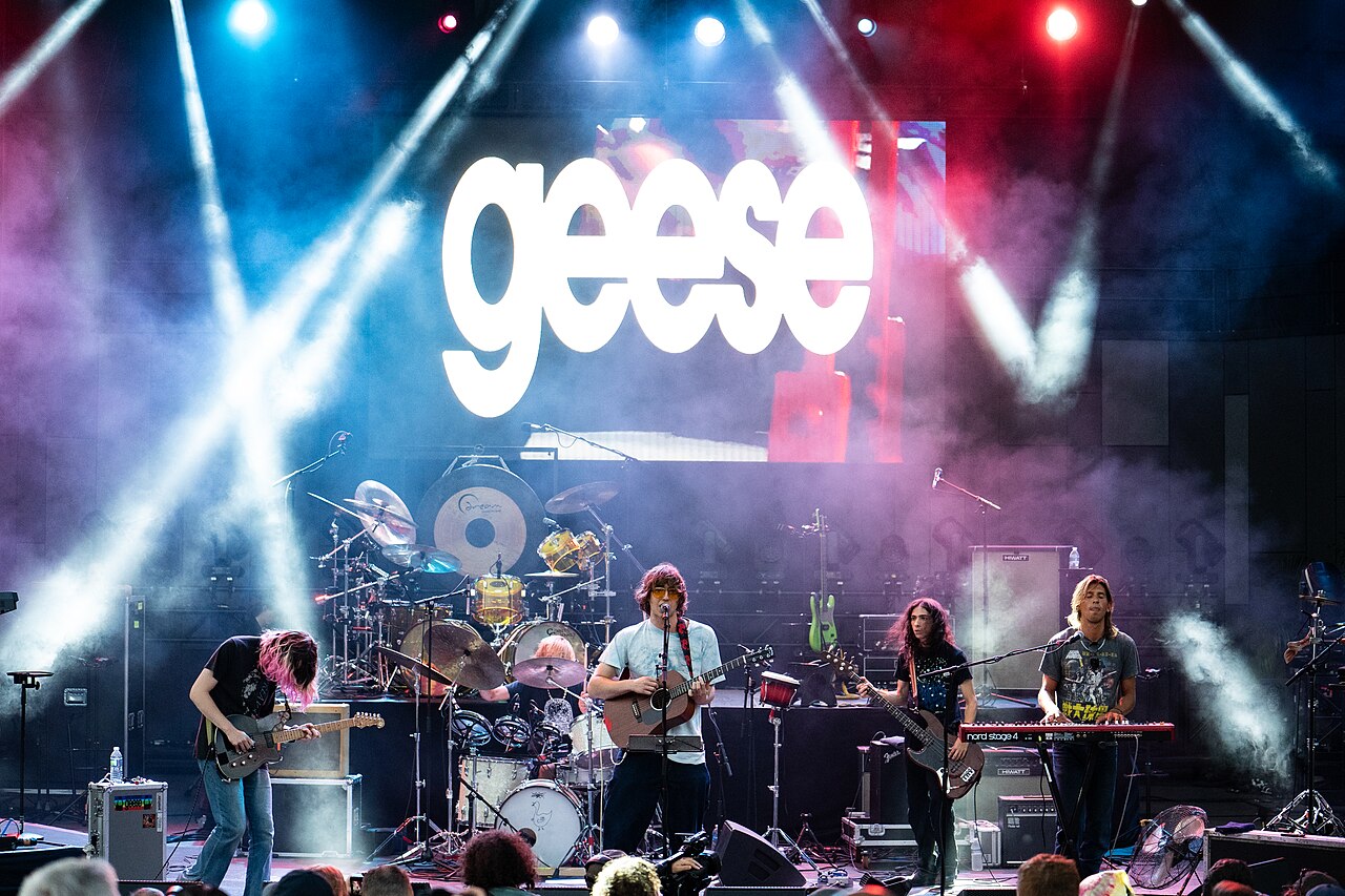 Geese in concert